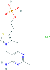 Vitamin B1 Monophosphate Chloride