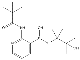 2-(2,2,2-Trimethylacetamido)Pyridine-3-Boronic Acid Pinacol Ester