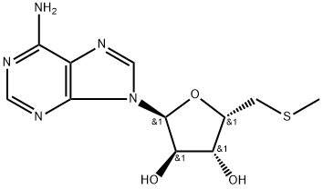 NSC166536