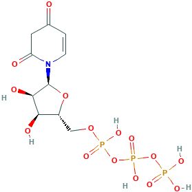 3-deazauridine 5'-triphosphate