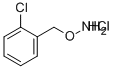 O-(2-Chloro -benzyl)hydroxylamine hydrochloride