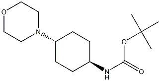 tert-butyl ((1r,4r)-4-Morpholinocyclohexyl)carbaMate