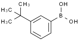 3-叔丁基苯硼酸