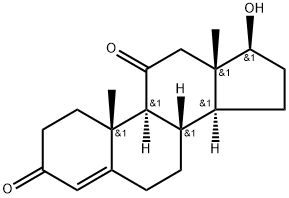 11 -酮睾酮