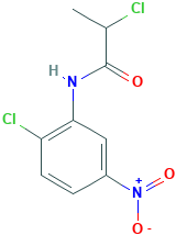 2-CHLORO-N-(2-CHLORO-5-NITROPHENYL)PROPANAMIDE