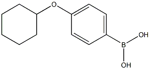 (4-环己氧基)苯基硼酸