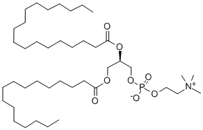 1-PALMITOYL-2-STEAROYL-SN-GLYCERO-3-PHOSPHOCHOLINE;16:0-18:0 PC