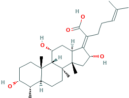 16-Epi-deacetyl-fusidic Acid