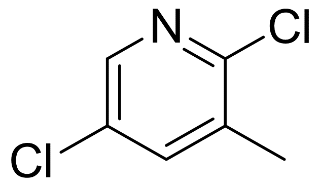 2,3-二氯-5-甲基吡啶