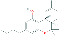 butyl-delta(9)-tetrahydrocannabinol