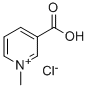 TRIGONELLINE HCL