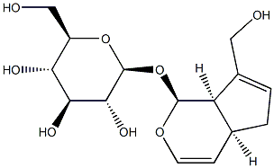 [(1S)-1β,4aβ,5,7aβ-Tetrahydro-7-(hydroxymethyl)cyclopenta[c]pyran-1-yl]β-D-glucopyranoside