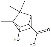 3-hydroxy-4,7,7-trimethylbicyclo[2.2.1]heptane-2-carboxylic acid