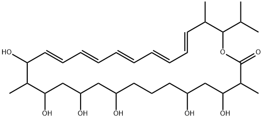 Takanawaene C