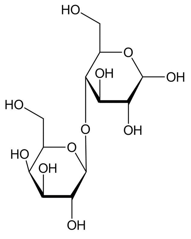 LACTOBIOSE