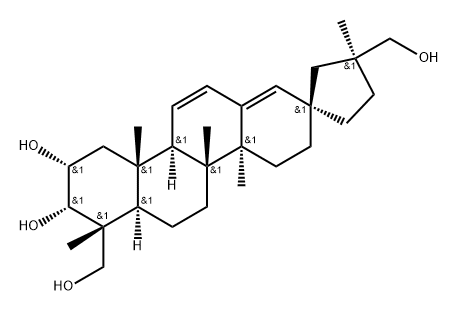 Notohamosin B