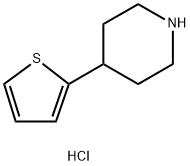 4-(thiophen-2-yl)piperidine hydrochloride