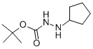 Hydrazinecarboxylic acid, 2-cyclopentyl-, 1,1-dimethylethyl ester (9CI)