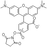 5(6)-CARBOXYTETRAMETHYLRHODAMINE N-SUCCINIMIDYL ESTER