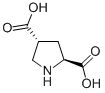 L-TRANS-PYRROLIDINE-2,4-DICARBOXYLIC ACID