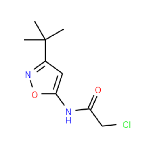 N-(3-TERT-BUTYL-ISOXAZOL-5-YL)-2-CHLORO-ACETAMIDE