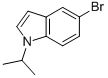 5-BROMO-1-ISOPROPYL-1H-INDOLE