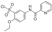 2-ETHOXY-5-(PYRIDINE-2-CABOXAMIDO) BENZENE-1-SULFONYL CHLORIDE