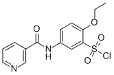 2-ETHOXY-5-[(PYRIDINE-3-CARBONYL)-AMINO]-BENZENESULFONYL CHLORIDE