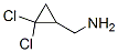 (2,2-DICHLOROCYCLOPROPYL)METHYLAMINE