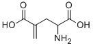 GAMMA-METHYLENE-DL-GLUTAMIC ACID