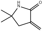 5,5-dimethyl-3-methylenepyrrolidin-2-one