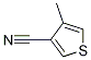 4-METHYLTHIOPHENE-3-CARBONITRILE