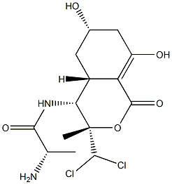 Y 14556