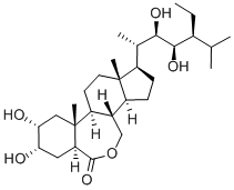 28-高芸苔素内酯