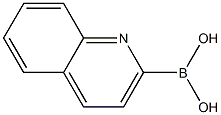 2-喹啉硼酸