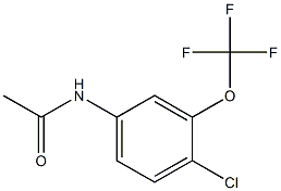 N-(4-Chloro-3-(trifluoromethoxy)phenyl)acetamide