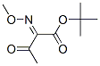 2-Methoxyimino-3-oxobutyric acid tert-butyl ester