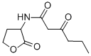 N-(KETOCAPROYL)-D,L-HOMOSERINE LACTONE