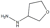 (tetrahydro-3-furanyl)Hydrazine