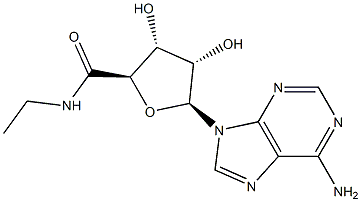 5'-N-ETHYLCARBOXAMIDO- ADENOSINE