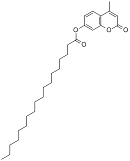 4-METHYLUMBELLIFERYL STEARATE