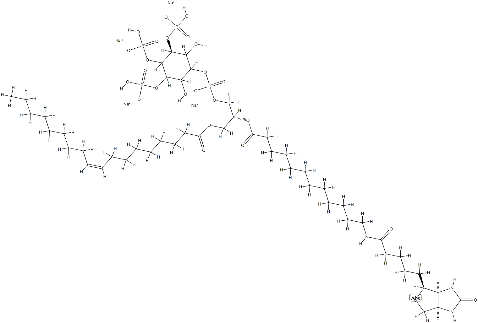 1-OLEOYL-2-[12-BIOTINYL(AMINODODECANOYL)]-SN-GLYCERO-3-PHOSPHOINOSITOL-3,4,5-TRISPHOSPHATE (SODIUM SALT)
