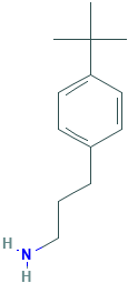 4-叔丁基苯丙胺