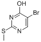 5-溴-2-(甲硫基)-4(1氢)-嘧啶酮