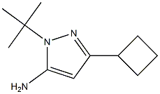 1-(叔丁基)-3-环丁基-1H-吡唑-5-胺