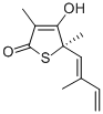 THIOLACTOMYCIN