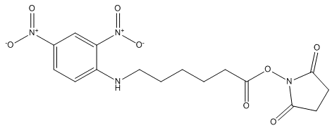 6-(2,4-DINITROPHENYL)AMINOHEXANOIC ACID, SUCCINIMIDYL ESTER