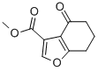 METHYL 4-OXO-4,5,6,7-TETRAHYDRO-1-BENZOFURAN-3-CARBOXYLATE