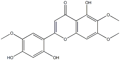 茵陈黄酮