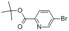 5-Bromopyridine-2-carboxylic acid t-butyl ester